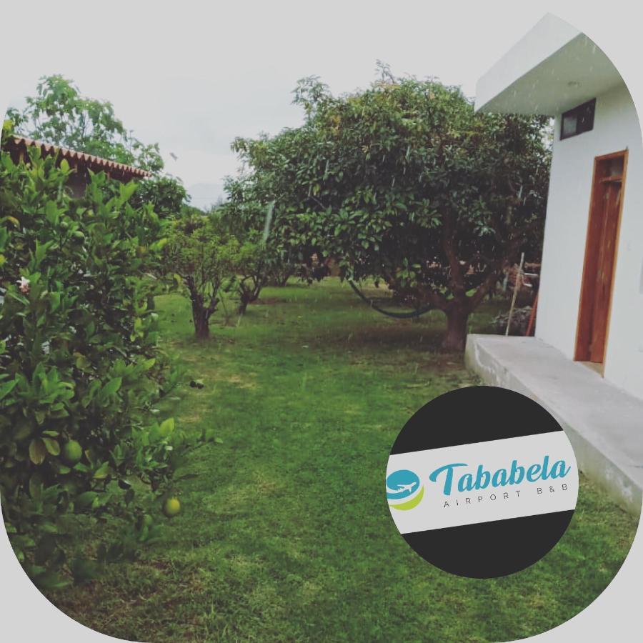 Tababela Airport B&B Eksteriør bilde